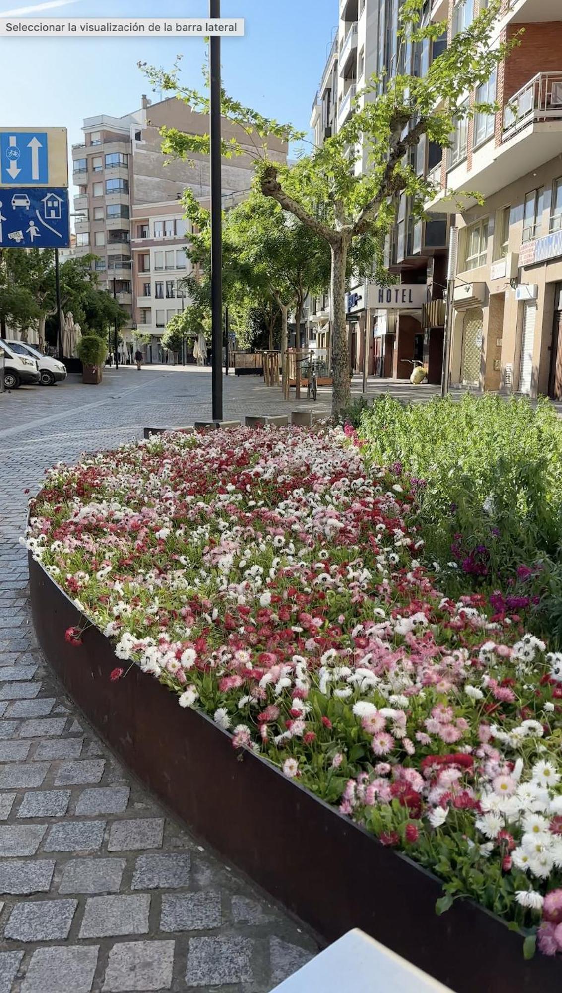 로그로노 Esencia Del Casco Antiguo 아파트 외부 사진